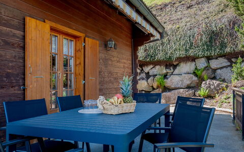 Anusach: Table, Meubles, Propriété, Plante, Pot De Fleur, Bleu Azur, Chaise, Design Intérieur, Mobilier De Jardin, Plante D'Appartement