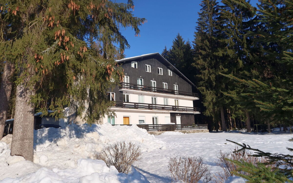 Harrachov 381