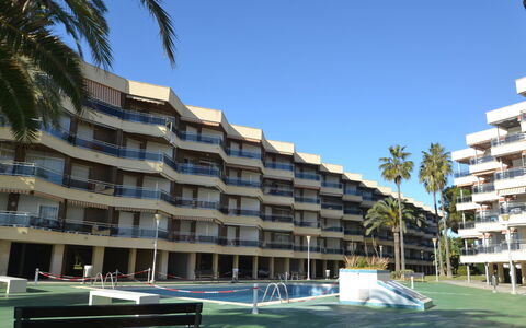 Sol España: Bâtiment, Ciel, Plante, Bleu Azur, Arbre, Fenêtre, Condominium, Design Urbain, Architecture, Arecales