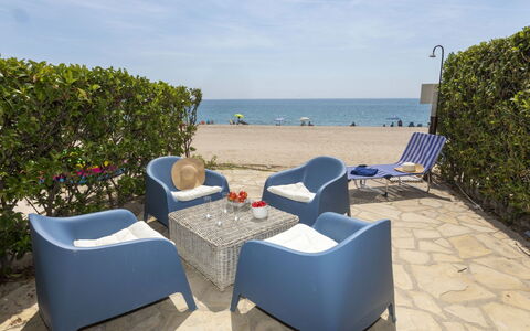 Miami Palace: Ciel, Nuage, Meubles, Plante, L'Eau, Ombre, Mobilier De Jardin, Chaise, Plage, Confort
