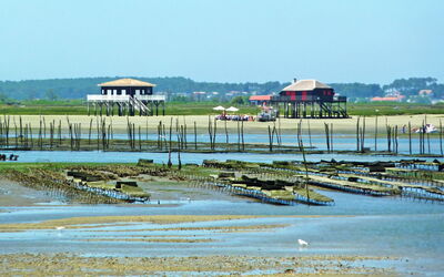 Arcachon 230