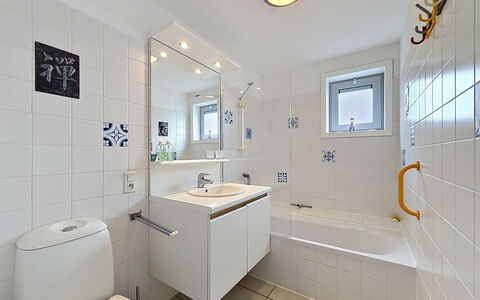 De Haan 990: Salle De Bains, Luminaire Plomberie, Design Intérieur, Sol, Évier, Sol, Robinet, Plomberie, Lavabo, Plafond