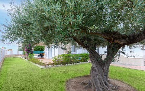 Villa Mar i Cel: Ciel, Nuage, Plante, Propriété, Fenêtre, Bâtiment, Montagne, Montagnes, Bois, Arbre