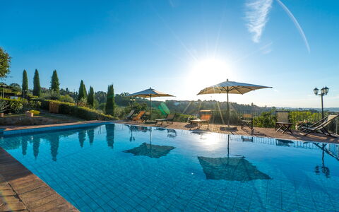 Villa i Colli: L'Eau, Ciel, Plante, Propriété, Piscine, Bleu Azur, Arbre, Éclairage, Mobilier De Jardin, Arecales