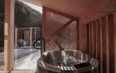 Logement:&nbsp;Mit 2 Sz & Privaten Wellnessbereich 900.14