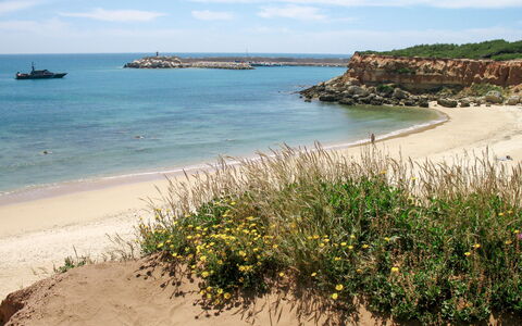 Cristina: L'Eau, Ciel, Plante, Nuage, Écorégion, Fleur, Bleu Azur, Plage, Environnement Naturel, Paysage Naturel
