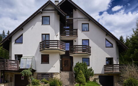 Harrachov 547: Plante, Nuage, Ciel, Bâtiment, Fenêtre, Maison, Lot Terre, Design Urbain, Arbre