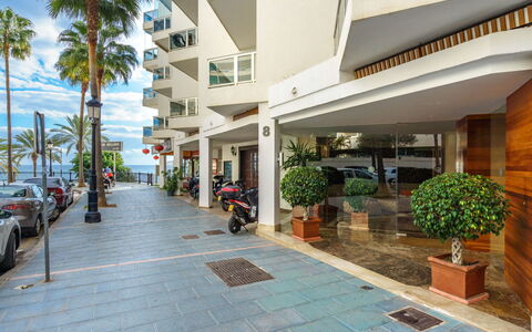 Palm Beach: Plante, Propriété, Bâtiment, Pot De Fleur, Roue, Design Urbain, Plante D'Appartement, Ombre, Condominium