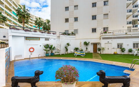 Palm Beach: L'Eau, Plante, Bâtiment, Propriété, Fenêtre, Piscine, Bleu Azur, Mobilier De Jardin, Fleur, Design Intérieur