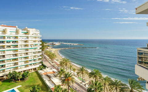 Palm Beach: L'Eau, Ciel, Bâtiment, Plante, Jour, Propriété, Nuage, Bleu Azur, Arbre, Cotiers Et Relief Océaniques