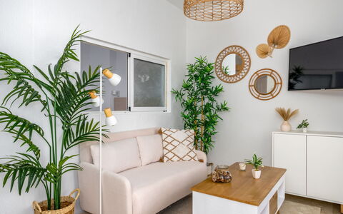 Palm Beach: Canapé, Plante, Meubles, Propriété, Éclairage, Plante D'Appartement, Design Intérieur, Salon, Jaune, Sol