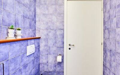 703 16.2: Bâtiment, Violet, Bleu, Bleu Azur, Salle De Bains, Plante, Design Intérieur, Luminaire Plomberie, Mur, Sol
