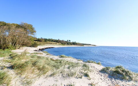 Roir - 250M from the Sea: Maison, Chalet, Toit, Batiments Jardin, Ombre, Cabanon, Arrière-Cour, Mobilier De Jardin, Cour, Pelouse
