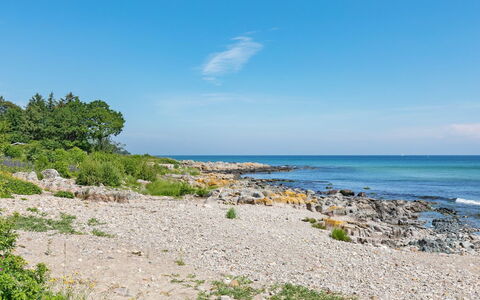 Gjuro - 50M from the Sea: Bois, Meubles, Appartement, Pièce, Plafond, Tache De Bois, Chaise, Dur, Vernis, Lumber