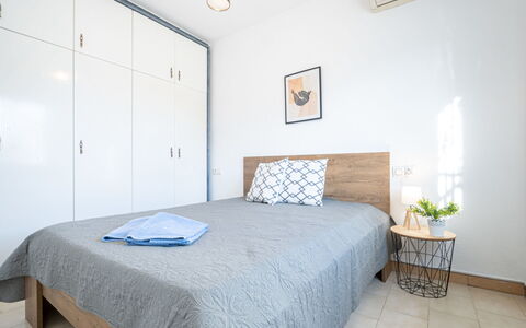 Sant Maurici: Plante, Propriété, Plante D'Appartement, Bâtiment, Pot De Fleur, Éclairage, Design Intérieur, Bois, Sol, Sol