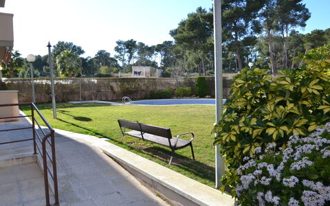 La Pineda 704: Plante, Ciel, Extérieur Banc, Surface De La Route, Ombre, Arbre, Loisir, Herbe, Bâtiment, Design Urbain