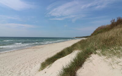Greta - 200M from the Sea