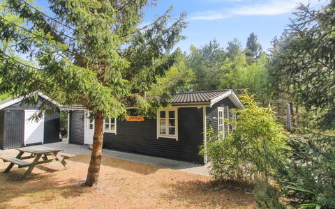 Zeytun - 800M from the Sea: Bois, Meubles, Appartement, Pièce, Plafond, Tache De Bois, Chaise, Dur, Vernis, Lumber