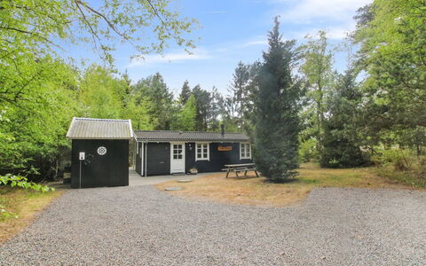Zeytun - 800M from the Sea: Bois, Meubles, Appartement, Pièce, Plafond, Tache De Bois, Chaise, Dur, Vernis, Lumber