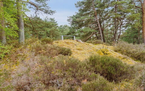 Bergulv - 75M from the Sea: Maison, Chalet, Toit, Batiments Jardin, Ombre, Cabanon, Arrière-Cour, Mobilier De Jardin, Cour, Pelouse