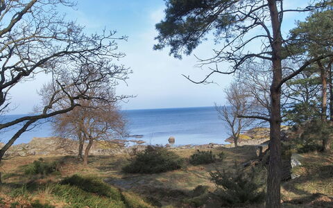 Lätizia - 300M from the Sea: Bois, Meubles, Appartement, Pièce, Plafond, Tache De Bois, Chaise, Dur, Vernis, Lumber