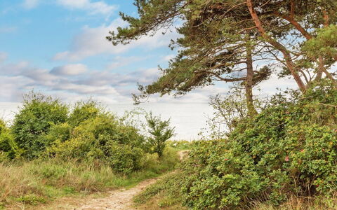 Milrid - 800M from the Sea: Bois, Maison, Chalet, Domicile, Toit, Zone Rurale, Siding, Cabane En Rondins, Batiments Jardin, Dur