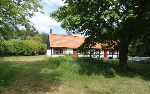 Viggo - 300M from the Sea: Bois, Maison, Chalet, Domicile, Toit, Zone Rurale, Siding, Cabane En Rondins, Batiments Jardin, Dur