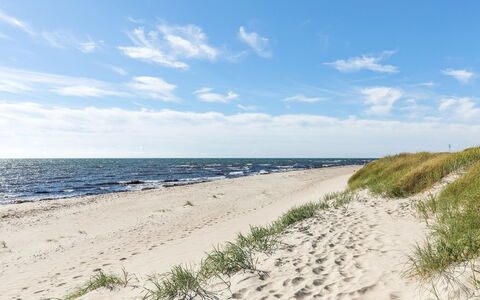 Ailen - 500M from the Sea: Bois, Maison, Chalet, Domicile, Toit, Zone Rurale, Siding, Cabane En Rondins, Batiments Jardin, Dur