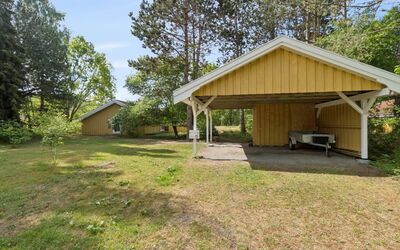Ailen - 500M from the Sea