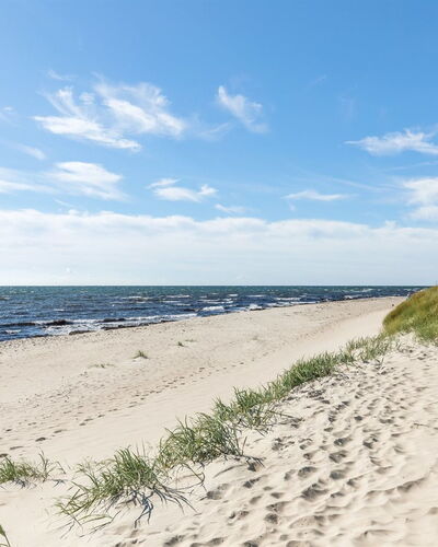 Ailen - 500M from the Sea