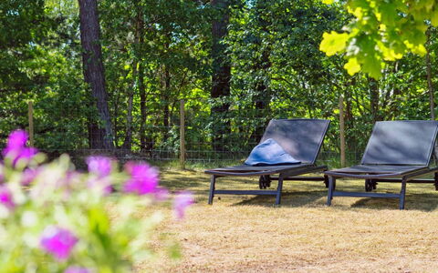 Malou - 350M from the Sea: Meubles, Mobilier De Jardin, Communauté Des Plantes, Lumière Du Soleil, Couverture De Sol, Ombre, Forêt, Réserve Naturelle, Jardin, Des Bois