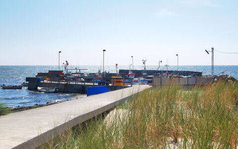 Hilje - 350M from the Sea: Herbe, Arbuste, Maison, Jardin, Domicile, Chalet, Lot Terre, Pelouse, Couverture De Sol