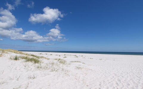 Jose - 300M from the Sea: Toit, Maison, Lot Terre, Domicile, Chalet, Biens, Batiments Jardin, Ombre, Cabane En Rondins, Aménagement Paysager