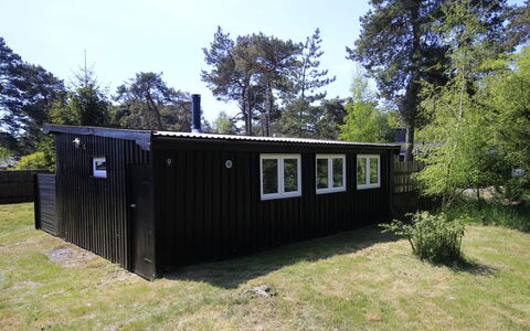 Evert - 250M from the Sea: Bois, Maison, Chalet, Domicile, Toit, Zone Rurale, Siding, Cabane En Rondins, Batiments Jardin, Dur