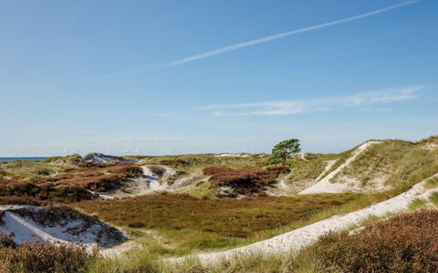 Elza - 800M from the Sea: Ciel, Écorégion, Terrain, Horizon, Paysage, Communauté Des Plantes, Région Sauvage, Formations Arbustives, Géologie, Pente