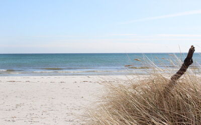 Elza - 800M from the Sea