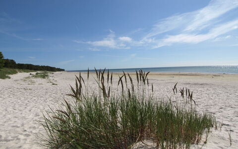 Patti - 150M from the Sea: Bois, Maison, Chalet, Domicile, Toit, Zone Rurale, Siding, Cabane En Rondins, Batiments Jardin, Dur