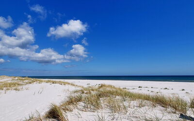 Apelone - 300M from the Sea