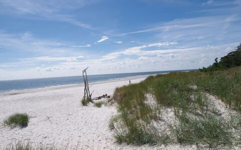 Dagi - 300M from the Sea: Bois, Maison, Chalet, Domicile, Toit, Zone Rurale, Siding, Cabane En Rondins, Batiments Jardin, Dur