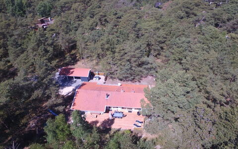 Dagi - 300M from the Sea: Bois, Maison, Chalet, Domicile, Toit, Zone Rurale, Siding, Cabane En Rondins, Batiments Jardin, Dur