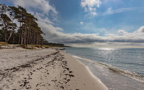 Hildegerd - 500M from the Sea: Toit, Maison, Lot Terre, Domicile, Chalet, Biens, Batiments Jardin, Ombre, Cabane En Rondins, Aménagement Paysager