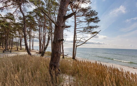 Hildegerd - 500M from the Sea: Toit, Maison, Lot Terre, Domicile, Chalet, Biens, Batiments Jardin, Ombre, Cabane En Rondins, Aménagement Paysager