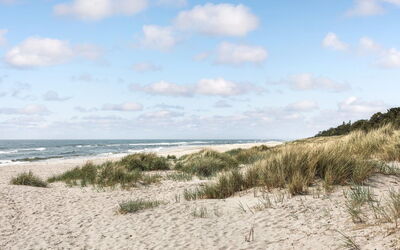 Tume - 200M from the Sea