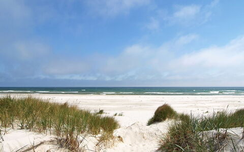 Georg - 300M from the Sea: Maison, Domicile, Toit, Chalet, Arbuste, Siding, Porte, Jardin, Ferme