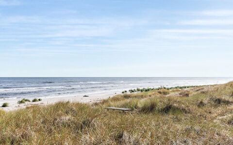 Selvi - 125M from the Sea: Toit, Maison, Domicile, Chalet, Siding, Biens, Allée, Batiments Jardin, Cour, Cabanon