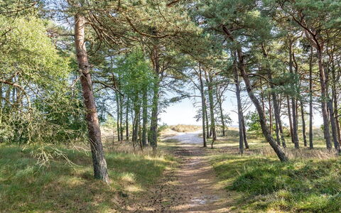 Selvi - 125M from the Sea: Toit, Maison, Domicile, Chalet, Siding, Biens, Allée, Batiments Jardin, Cour, Cabanon