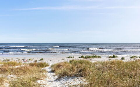 Selvi - 125M from the Sea: Toit, Maison, Domicile, Chalet, Siding, Biens, Allée, Batiments Jardin, Cour, Cabanon