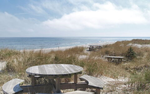 Jale - 50M from the Sea: Bois, Maison, Chalet, Domicile, Toit, Zone Rurale, Siding, Cabane En Rondins, Batiments Jardin, Dur