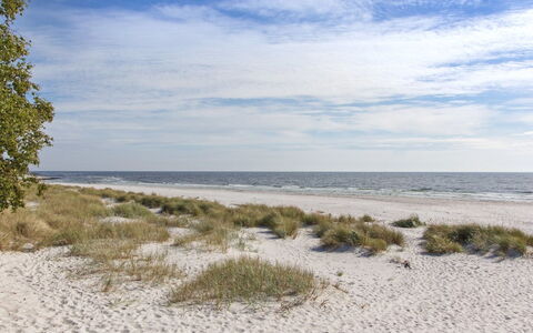 Loke - 300M from the Sea: Bois, Maison, Chalet, Domicile, Toit, Zone Rurale, Siding, Cabane En Rondins, Batiments Jardin, Dur