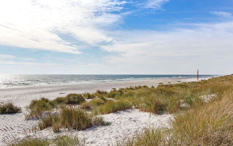 Loke - 300M from the Sea: Bois, Maison, Chalet, Domicile, Toit, Zone Rurale, Siding, Cabane En Rondins, Batiments Jardin, Dur
